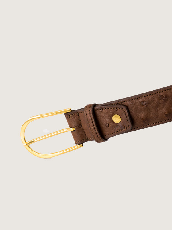35mm Kango Ostrich Belt 36 Inch