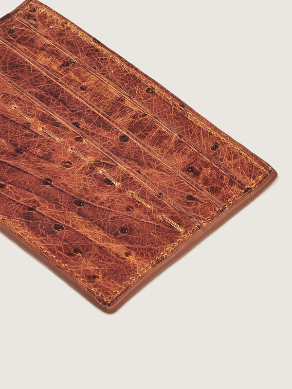 Card Holder - Ostrich Chestnut Zebra